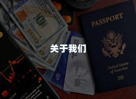 关于我们